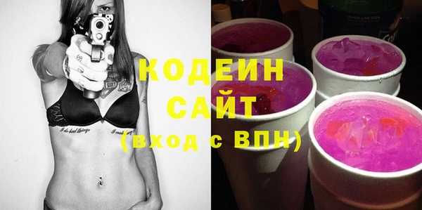 индика Лихославль