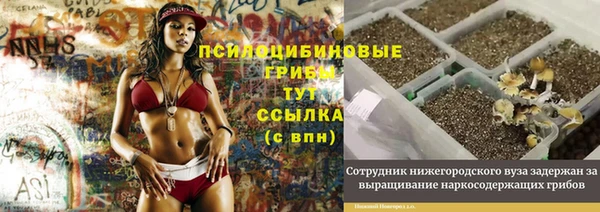 индика Лихославль