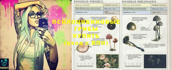 мяу мяу кристалл Лиски