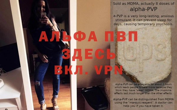 индика Лихославль
