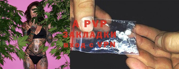прущие грибы Майский