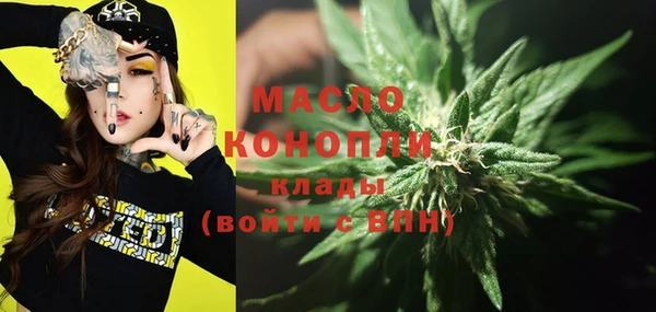 индика Лихославль