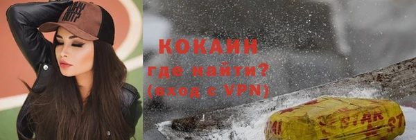 индика Лихославль