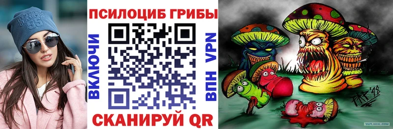 Галлюциногенные грибы Magic Shrooms  Ядрин 